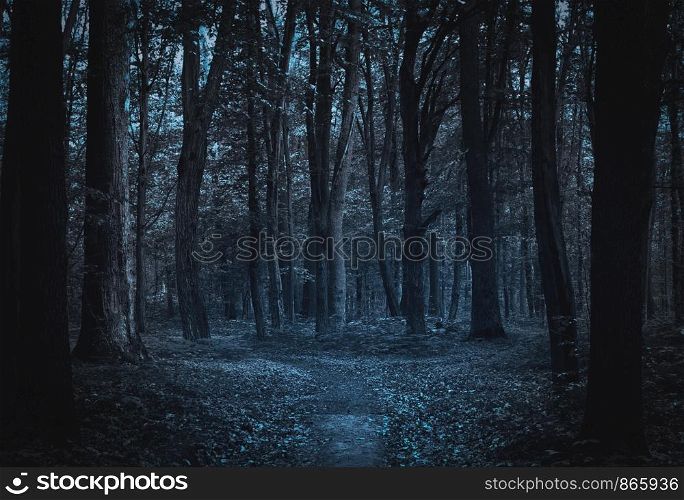 Path to light through a dark cold forest at night