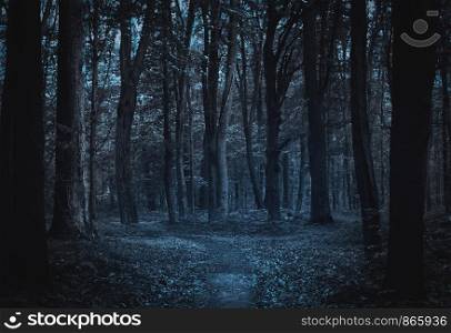Path to light through a dark cold forest at night