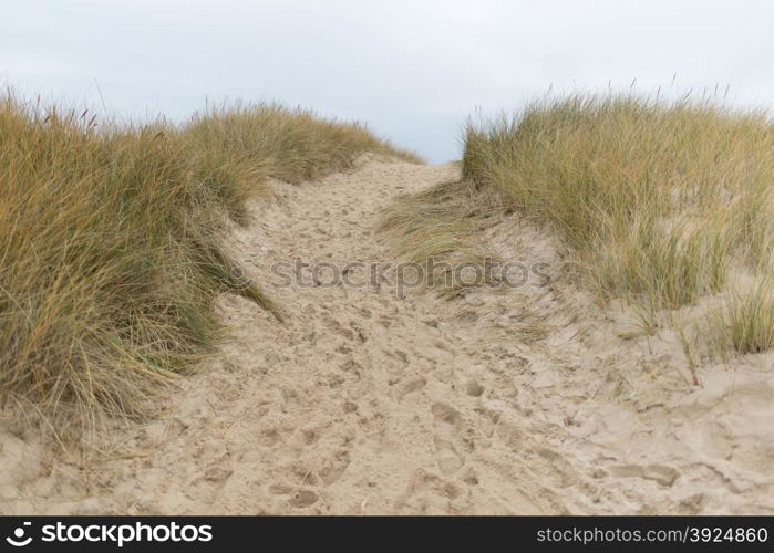 Path to the beach. Path to the beach on Sylt in Germany