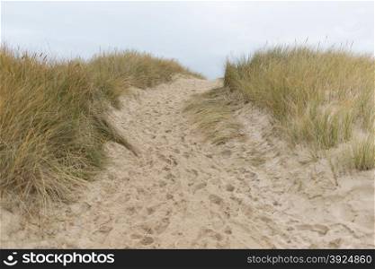 Path to the beach. Path to the beach on Sylt in Germany