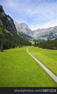 Path to the Swiss Alps