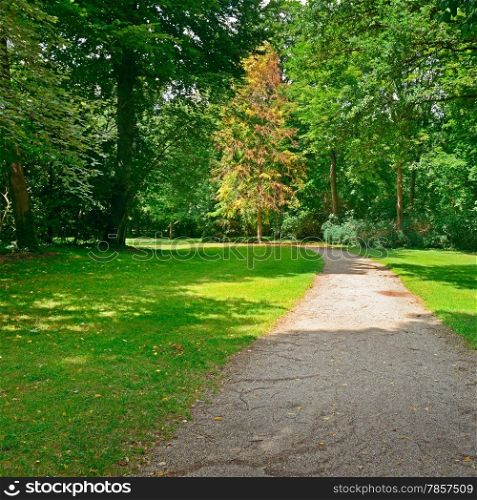 path to walk in a beautiful park
