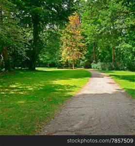 path to walk in a beautiful park