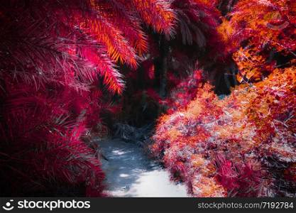 Path way with tunnel inside abstract mysterious deep forest landscape with exotic trees. Surreal beauty of dense woods. Fantasy colors and fairy tale nature background
