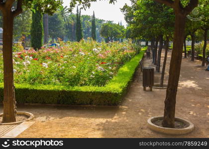 paths to stroll through the gardens of the Parque de Malaga, Spain