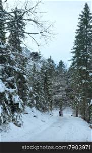Pathway around Eibsee lake and children for walk . Winter view. Bavaria, Germany.