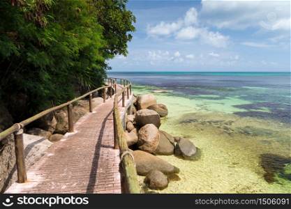 Pathway by the ocean with big stones and green plants