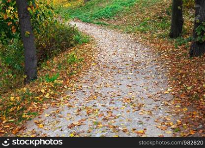 pathway in a beautiful autumn park
