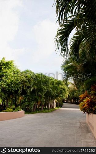 pathway in a tropical resort with trees, flowers and path for golf car (bright sky background)