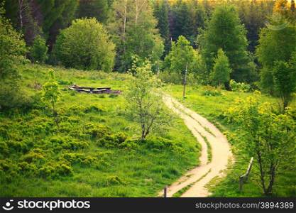 Pathway in beautiful green forest mountains hills landscape Poland Bieszczady.