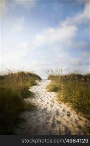 Pathway in sand dune to beach