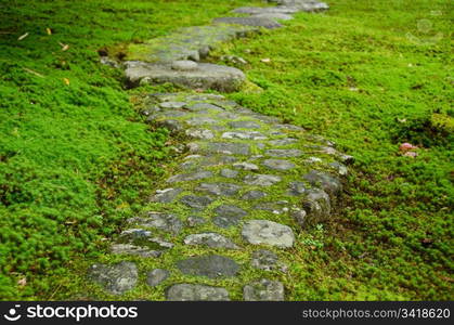 Pathway through moss. Pathway with curves in a moss garden