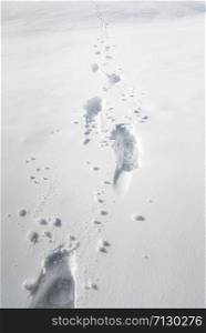 Pathway through thick layer of snow. Footprints in snow. Snow background. Winter weather frame. December snow scenery. Feet traces in the snow.
