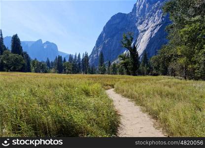 Pathway through Yosemite Valley