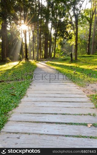 Pathways in tropical forests morning to the Monthathan waterfall of Chiang Mai province, Thailand
