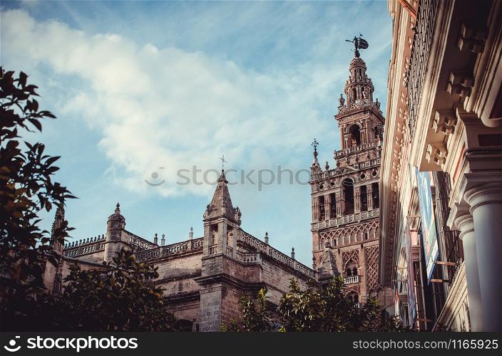 Patio de Banderas square, or Orange Trees square, one of the places where the Giralda tower can be seen in Sevilla, Spain. The Giralda view from the Patio de BAnderas square
