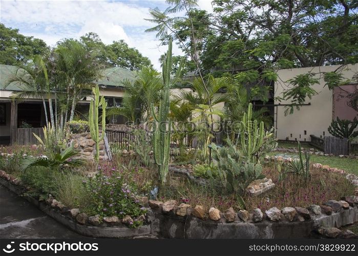 patio garden inside lodge sout africa