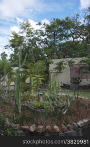 patio garden inside lodge sout africa