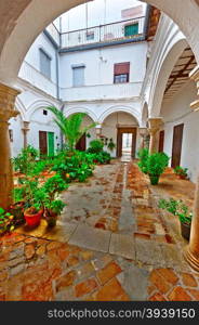 Patio in the Spanish House Decorated with Flowers