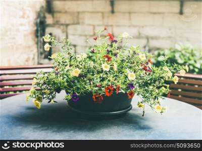 Patio pot with pretty flowers on table , front view