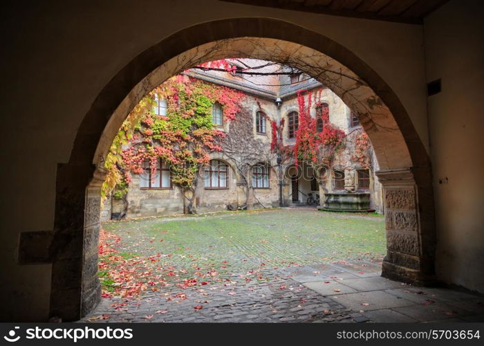 Patio with colorful vines and autumn leaves in Germany