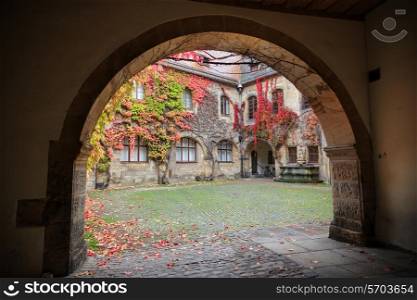 Patio with colorful vines and autumn leaves in Germany
