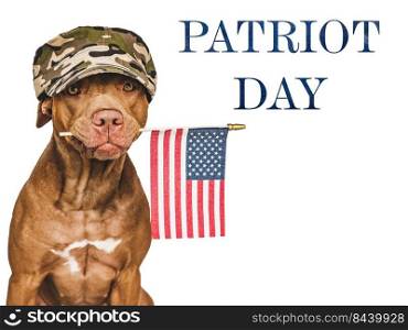 Patriot Day. We will never forget. Adorable puppy and American Flag. Close-up, isolated background. Studio shot, day light. Patriot Day. Adorable puppy and American Flag