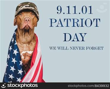 Patriot Day. We will never forget. Adorable puppy and American Flag. Close-up, isolated background. Studio shot, day light. Patriot Day. Adorable puppy and American Flag