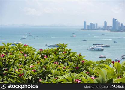 Pattaya city view point / Pink plumeria or frangipani flower on hill with pattaya beach sea and harbor landmark travel chonburi Thailand