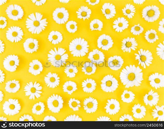 Pattern from chamomi≤flowers on a yellow background.. Pattern from chamomi≤flowers on yellow background.