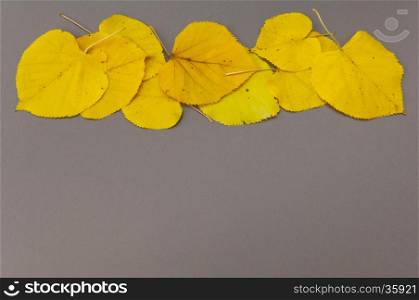 Pattern of autumn colorful fallen leaves on grey background with copy space