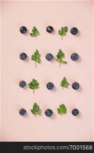 Pattern of blueberry and parsley leaves on light pink background. Flat lay, top view. Food background. .. Pattern of blueberry and parsley leaves on pink background