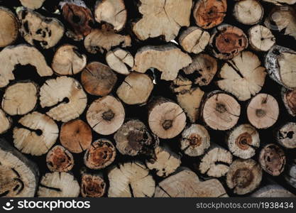 Pattern of cut circles of tree trunk surfaces with tree rings texture vintage