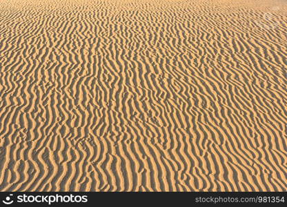 Pattern of golden sand in the deseret