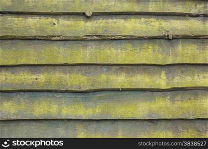 pattern of old planks of shed with moss