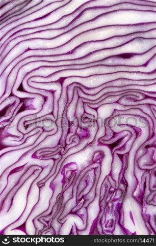 Pattern of red cabbage