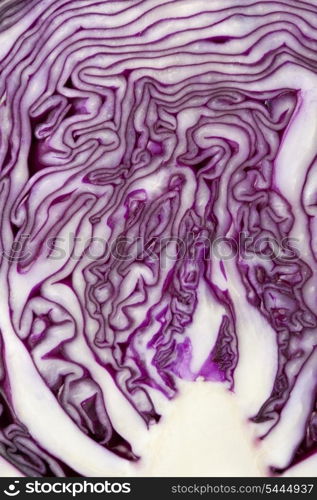 Pattern of red cabbage