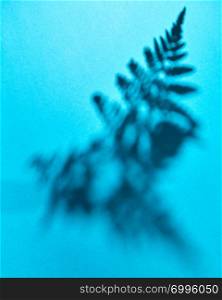 Pattern of shadows from fern leaves on a blue background with space for text. Layout for your ideas. Top view. The shadow of the leaves of a fern on a blue background with copy space. Creative layout. Top view