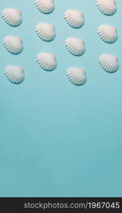 Pattern of shells over a pastel blue background, minimalism, design and digital resource, background with copy space