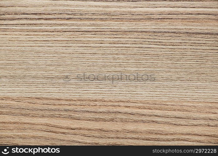 Pattern of wood - can be used as background