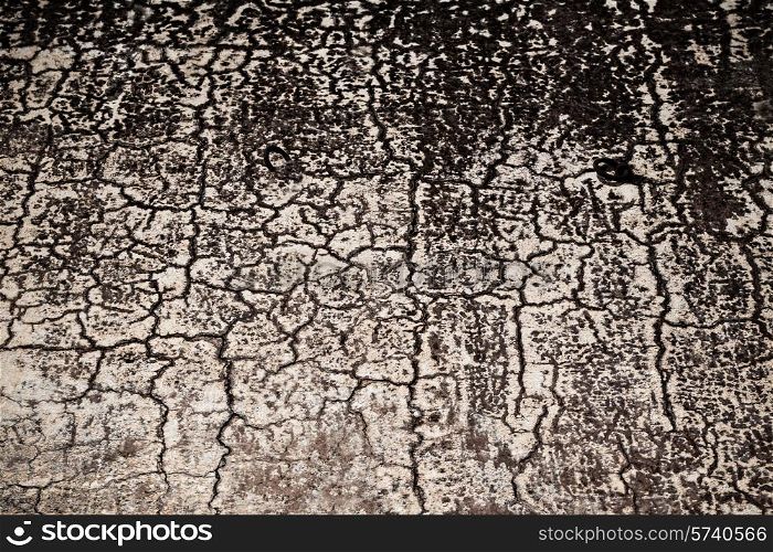Pattern on the old cement wall as a background