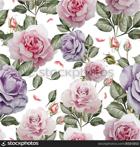 Pattern with watercolor realistic rose. Illustration.. Pattern with watercolor realistic rose.