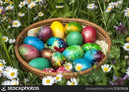 Patterned Easter eggs amidst spring field of daisies