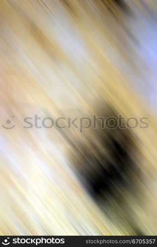 Patterns and textural image for background.