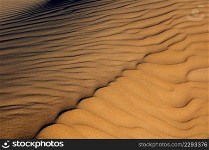 Patterns and textures on a desert sand dune created by the wind, South Africa  