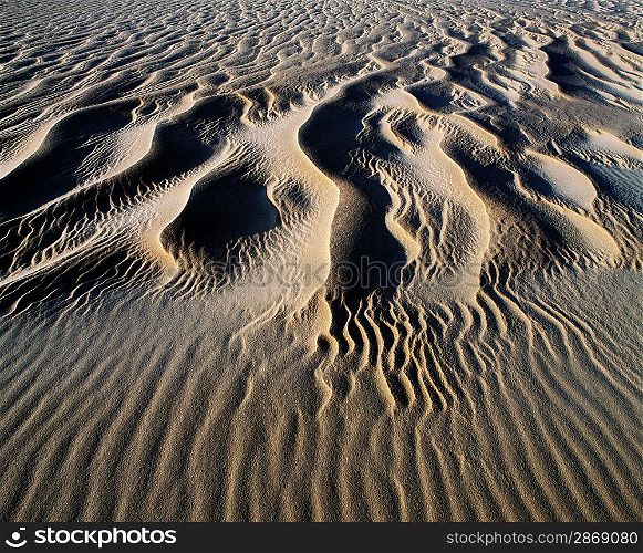 Patterns in the Sand