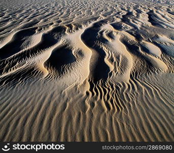 Patterns in the Sand