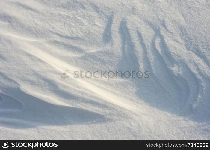 Patterns in the snow after a strong wind.