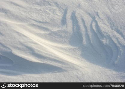 Patterns in the snow after a strong wind.