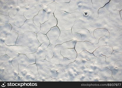 Patterns on a freshly poured concrete surface